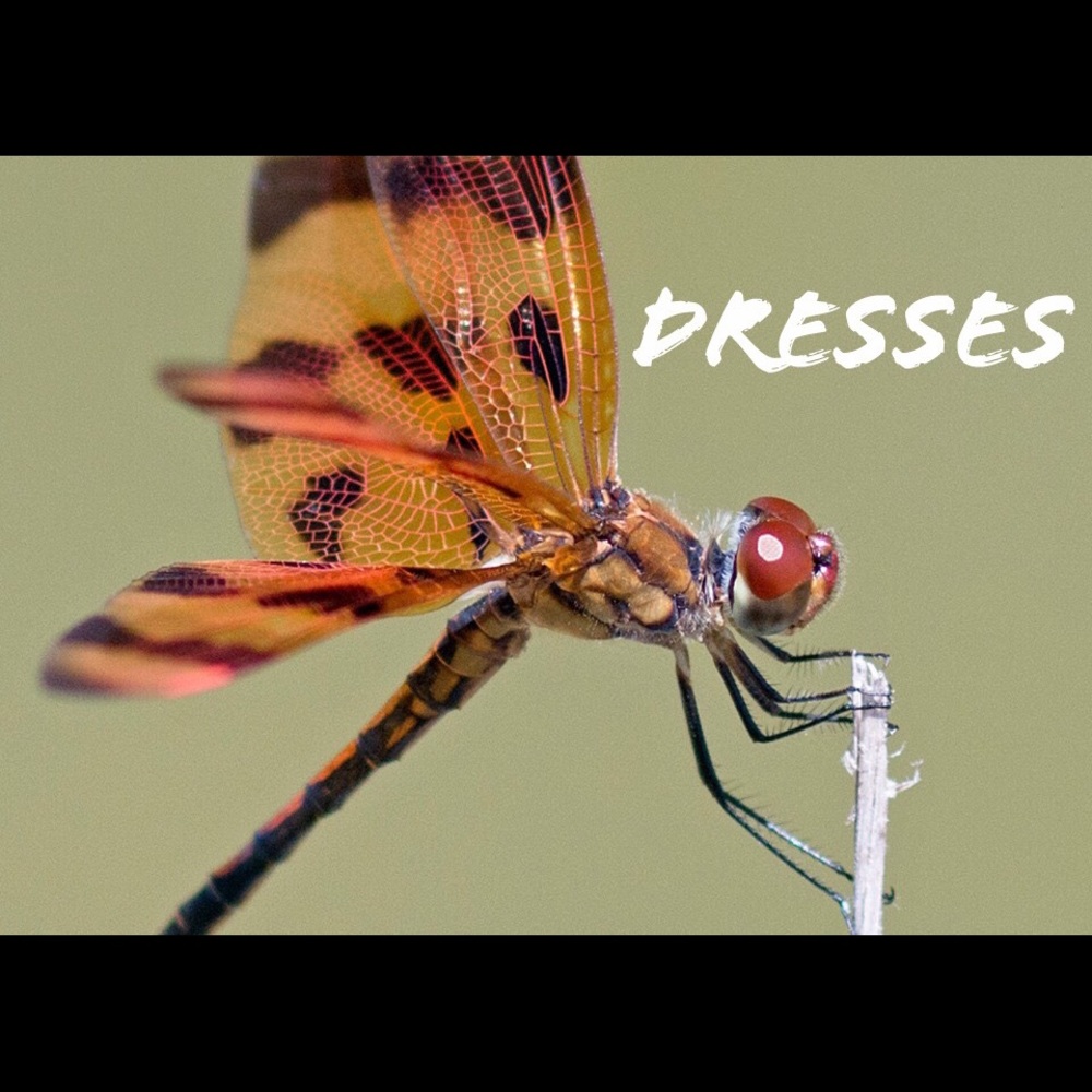 Dresses